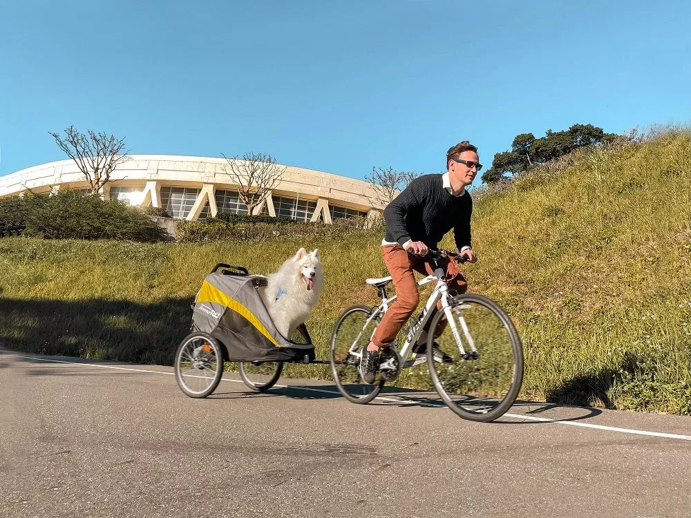 hondenbuggy hercules fietskar 1